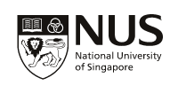 National University of Singapore