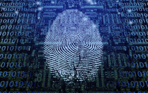 Machine Fingerprint