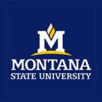 Montana State University