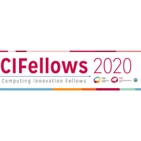 CI Fellows