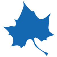 Indiana State University